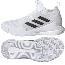 Pantofi de volei Adidas CrazyFlight Mid W FX1792 multicolor maro