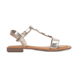 Vices Viciile 1955-9-60-aur de aur