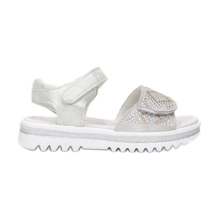 Vices Viciile T54-86-52-argint