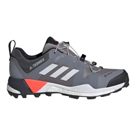 Pantofi Adidas Terrex Skychaser Gtx M EG2868 multicolor