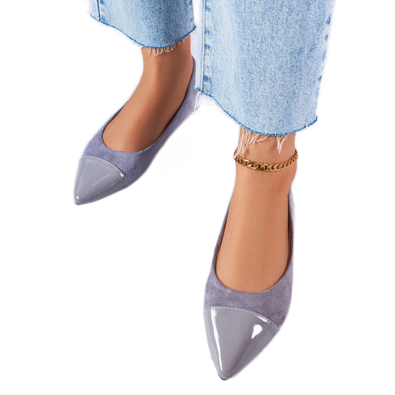 Balerini lacui gri de la Thibault