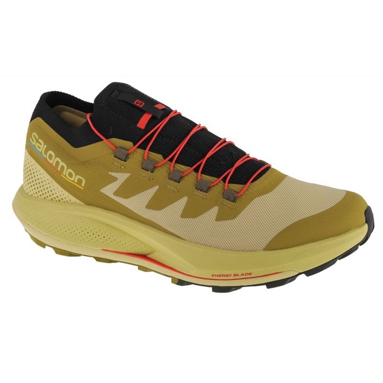 Pantofi Salomon Pulsar Trail-Pro M 415936 verde