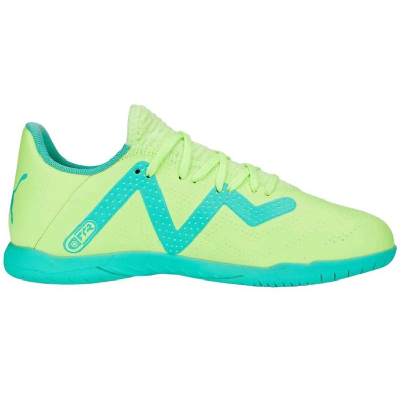 Pantofi de fotbal Puma Future Play It Jr 107204 03 verde verde