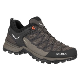Pantofi de trekking Salewa Mtn Trainer Lite Gtx W 61362-7517 maro Pantofi de trekking Salewa Mtn Trainer Lite Gtx W 61362-7517 maro