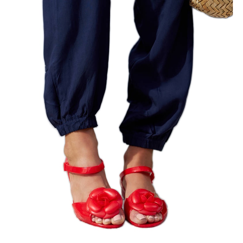 Balerini roșii cu o floare roșu