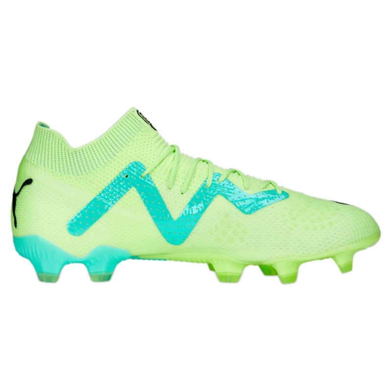 Pantofi de fotbal Puma Future Ultimate FG/AG M 107165 03 verde verde