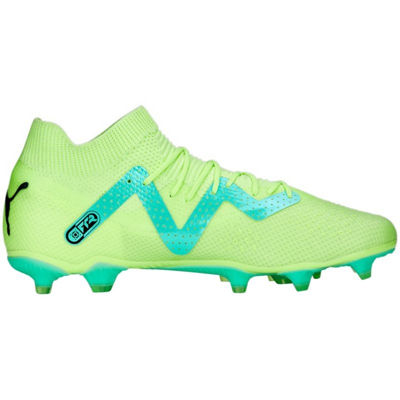 Ghete de fotbal Puma Future Pro FG/AG M 107171 03 verde verde