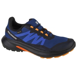 Pantofi Salomon Hypulse Gtx M 415961 albastru