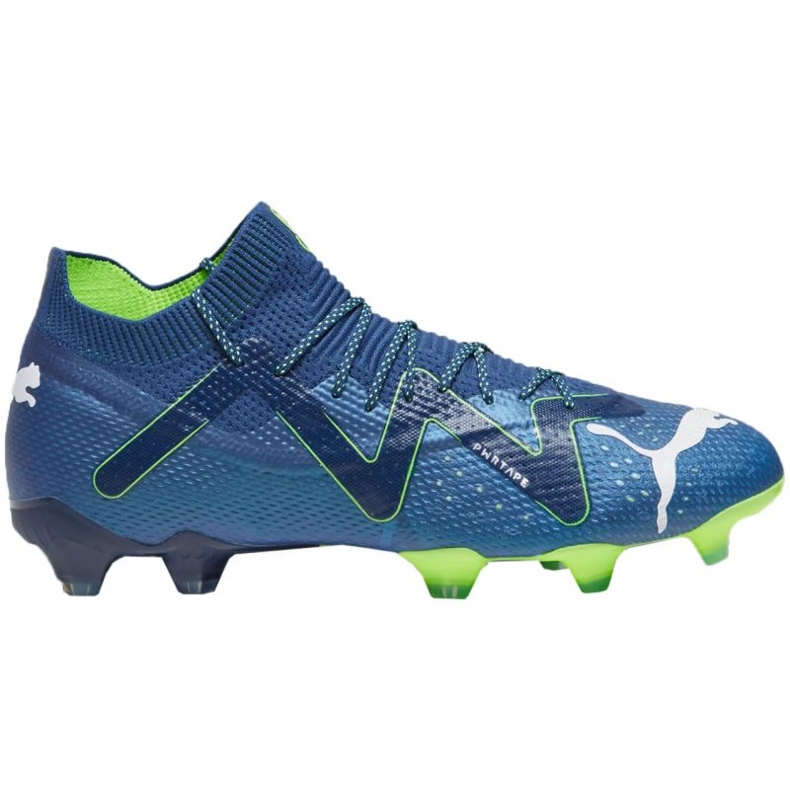 Pantofi de fotbal Puma Future Ultimate FG/AG M 107355 03 albastru