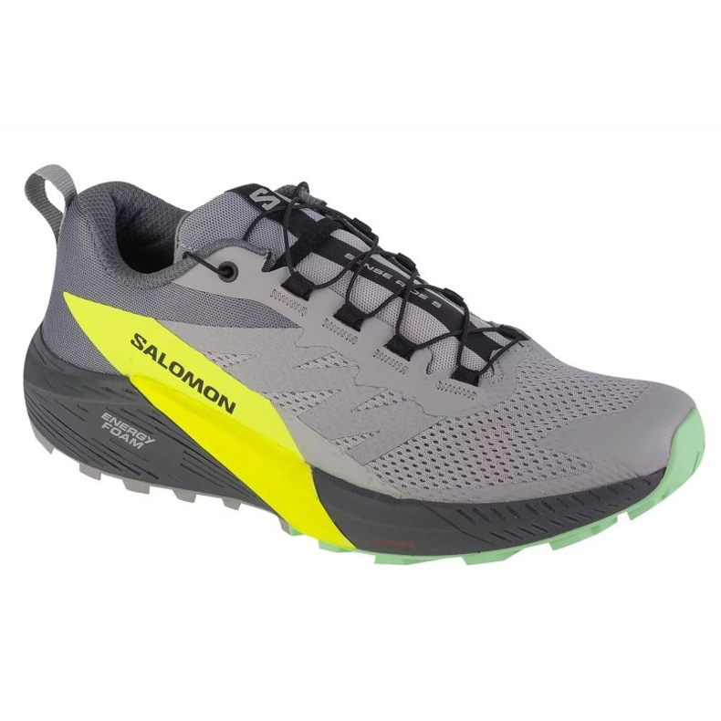 Pantofi de alergare Salomon Sense Ride 5 M 471442 gri