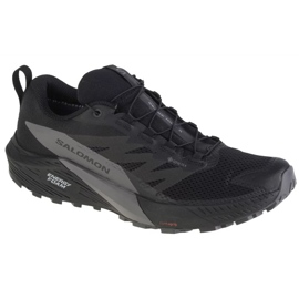 Pantofi de alergare Salomon Sense Ride 5 Gtx M 471472 negru