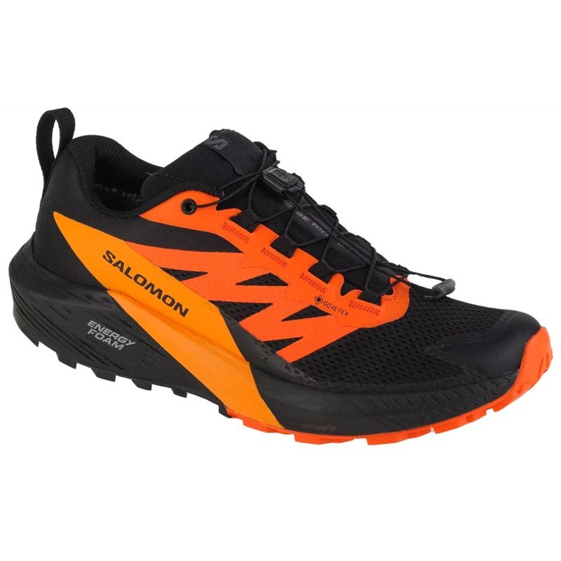 Pantofi de alergare Salomon Sense Ride 5 Gtx M 471473 multicolor