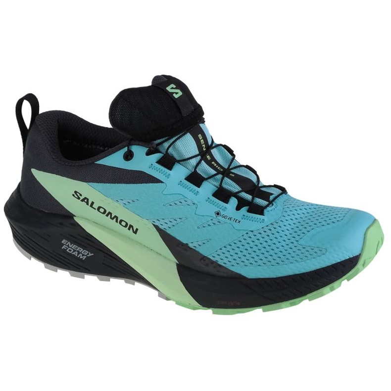 Pantofi de alergare Salomon Sense Ride 5 Gtx W 472160 albastru