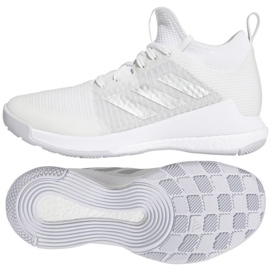 Pantofi de volei Adidas Crazyflight Mid W HQ3491 alb