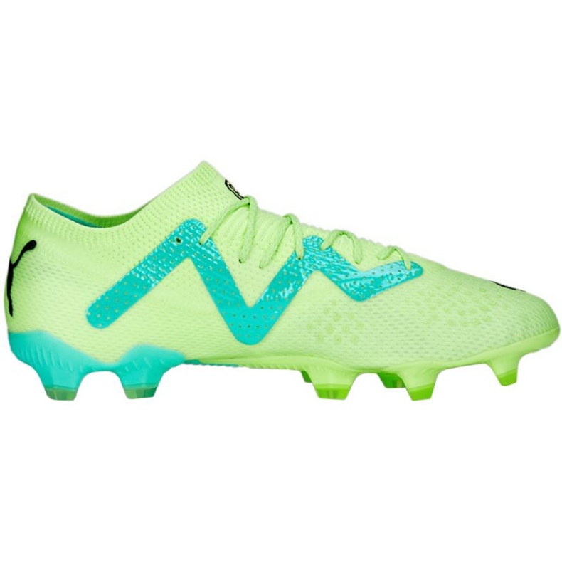 Pantofi de fotbal Puma Future Ultimate Low FG/AG M 107169 03 verde
