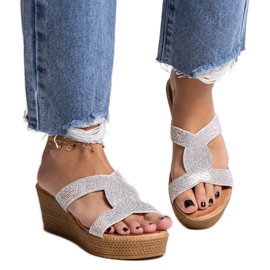 Catâri cu pană argintie cu zirconi Antuanet