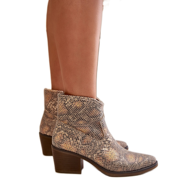 Cizme de cowboy Gold Snake de damă multicolor