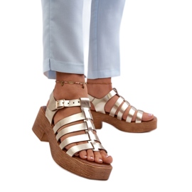 Step in style Sandale Model Zazoo 40410 Gold - Pas în stil galben