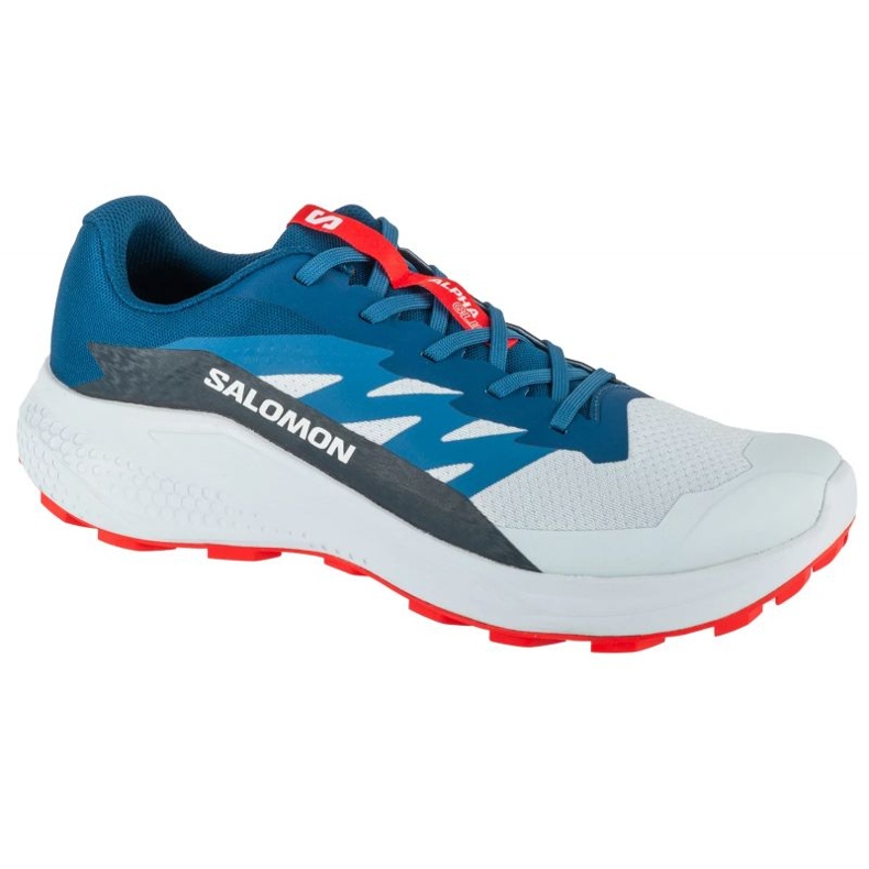 Salomon Alphaglide Ballad L47724300 Pantofi de alergare gri