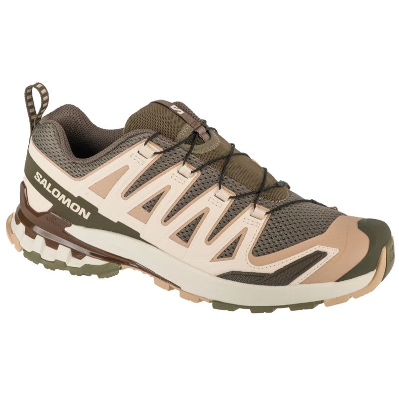 Salomon XA Pro 3D V9 GTX L47583300 Pantofi de alergare verde