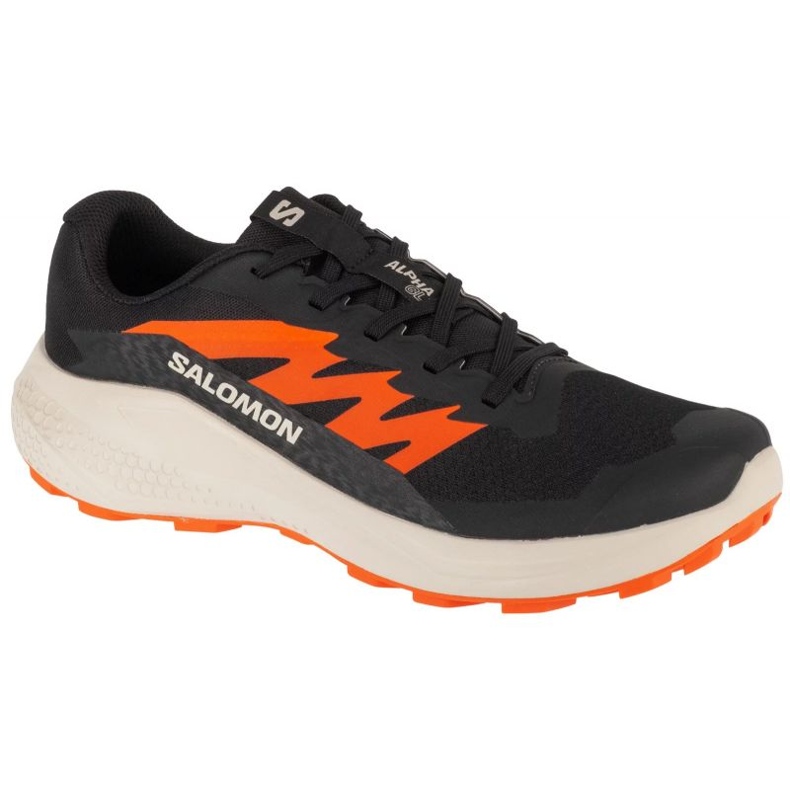 Salomon Alphaglide L47801100 Pantofi de alergare negru
