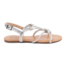 Flip -Flip -Flip -Flops argint