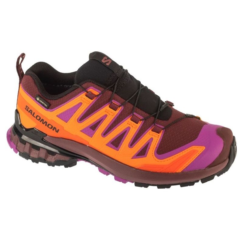 Salomon XA Pro 3D V9 GTX Pantofi de alergare în L47961900 multicolor