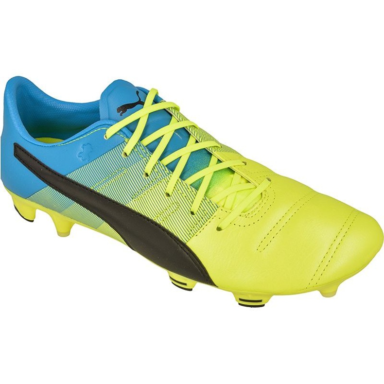 Ghete de fotbal Puma evoPOWER 1.3 FG M Leather 10352701