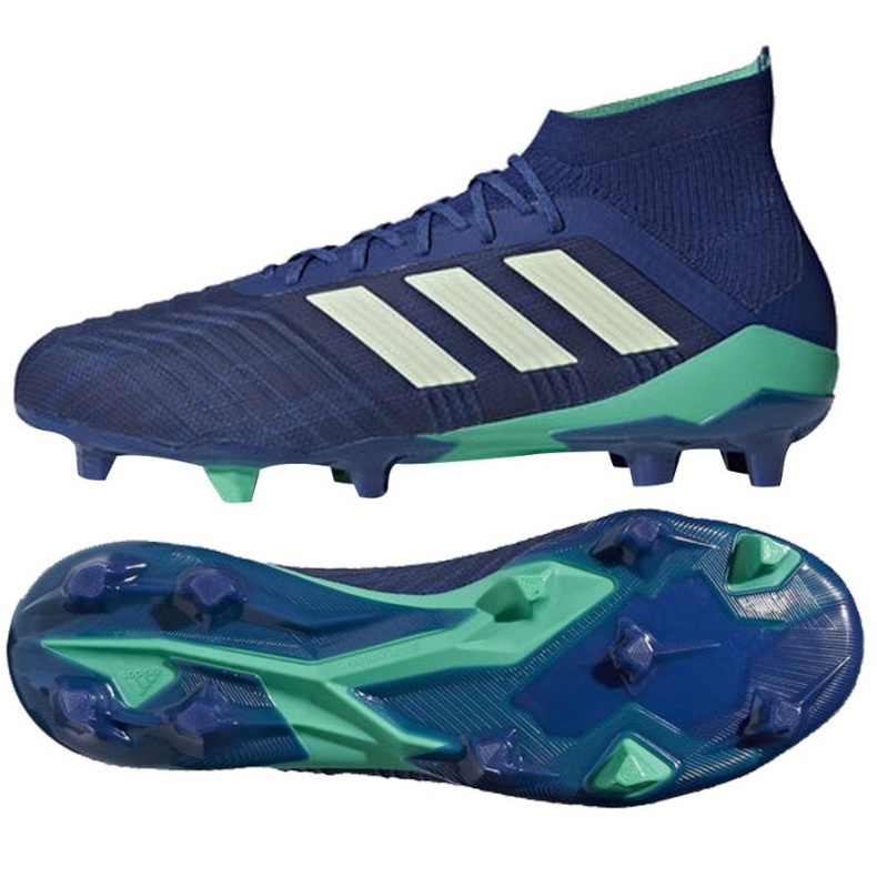 Ghete de fotbal Adidas Predator 18.1 Fg M CM7411 albastru albastru