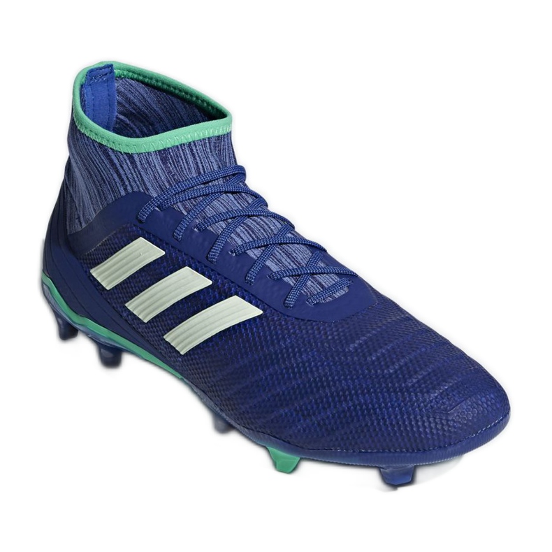 Ghete de fotbal Adidas Predator 18.2 Fg M CP9293 multicolor albastru