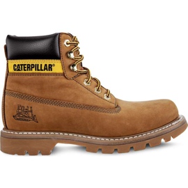 Caterpillar Colorado Sundance maro Caterpillar Colorado Sundance maro