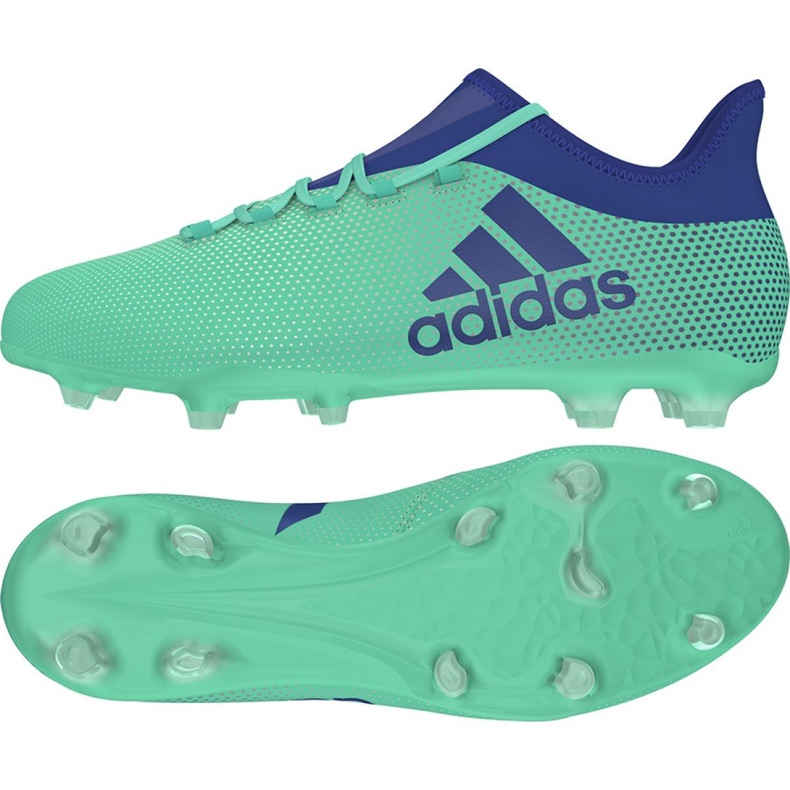 Ghete de fotbal Adidas X 17.2 Fg M CP9189 multicolor verde