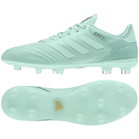 Cizmele de fotbal adidas Copa 18.2 Fg M. albastru