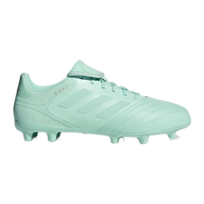 Cizmele de fotbal adidas Copa 18.3 Fg M verde Cizmele de fotbal adidas Copa 18.3 Fg M verde