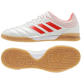 Încălțăminte de interior adidas Copa 19.3 IN Sala M D98065 alb