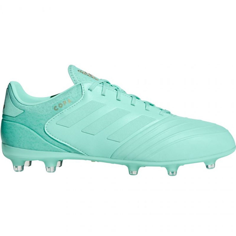 Ghete de fotbal Adidas Copa 18.2 FG M DB2446 albastru