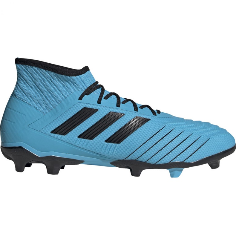 Ghete de fotbal Adidas Predator 19.2 Fg M F35604 multicolor albastru