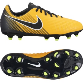 Ghete de fotbal Nike Magista Onda Ii Fg Jr 917779-801 de aur de aur