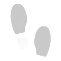 Pantofi de box adidas Box Hog Plus albastru-roșu roşu