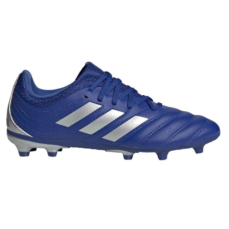 Ghete de fotbal adidas Copa 20.3 Fg Jr EH1810 alb albastru