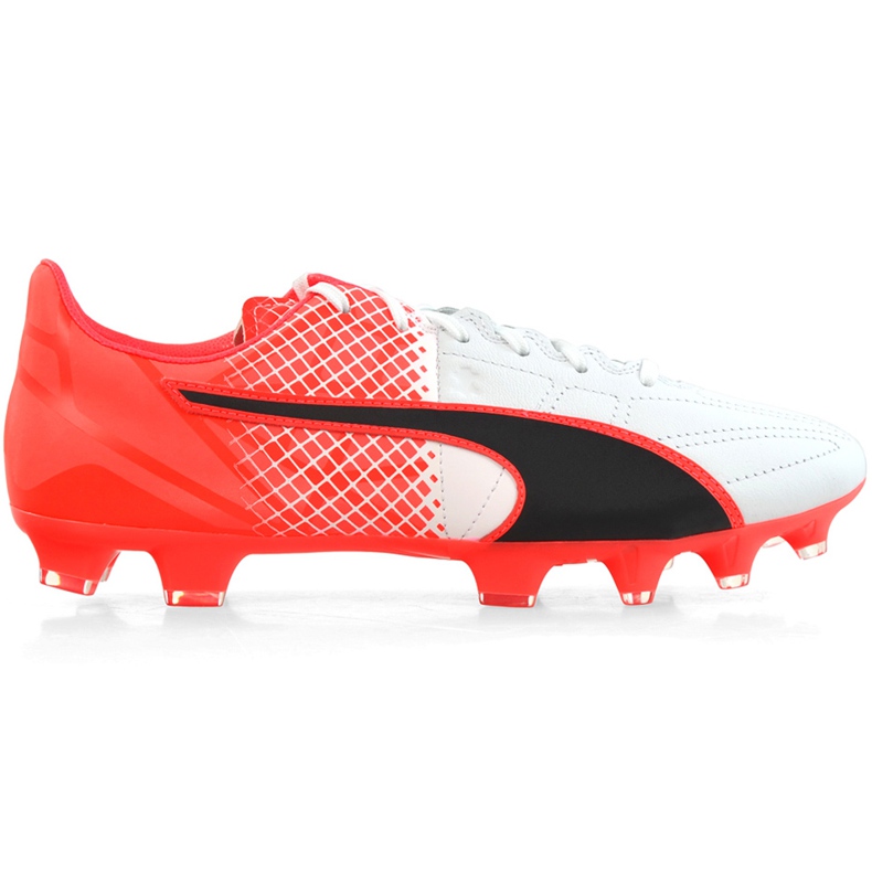 Ghete de fotbal Puma Evo Speed ​​3.5 Fg Leather 103794 01 albastru, alb, negru multicolor
