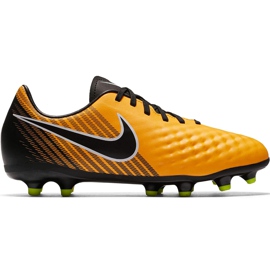 Pantofi de fotbal Nike Magista Onda Ii Fg Jr 917779 801 aur aur