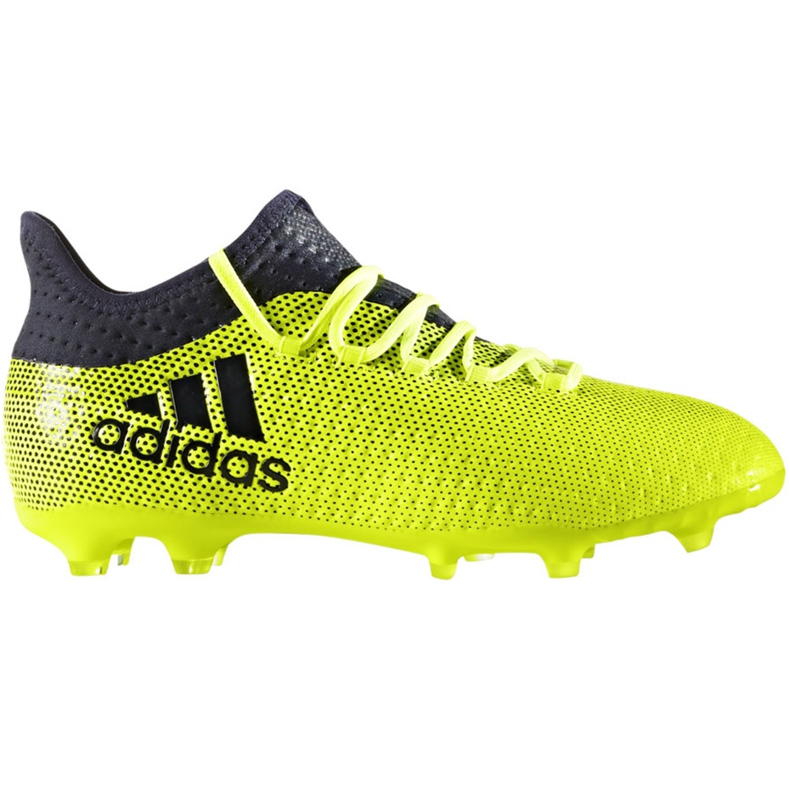 Ghete de fotbal Adidas X 17.1 Fg Jr S82297 multicolor verde