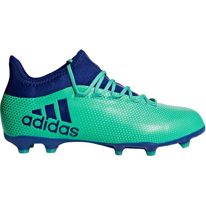 Ghete de fotbal Adidas X 17.1 Fg Jr CP8980 multicolor albastru