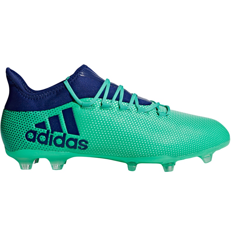 Ghete de fotbal Adidas X 17.2 Fg CP9189 multicolor verde