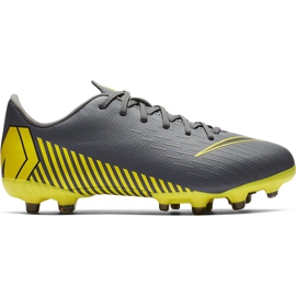 Pantofi de fotbal Nike Mercurial Vapor 12 Academy Mg Jr AH7347 070 multicolor gri