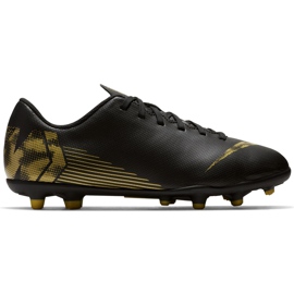 Pantofi de fotbal Nike Mercurial Vapor 12 Club Mg Jr AH7350 077 multicolor negru