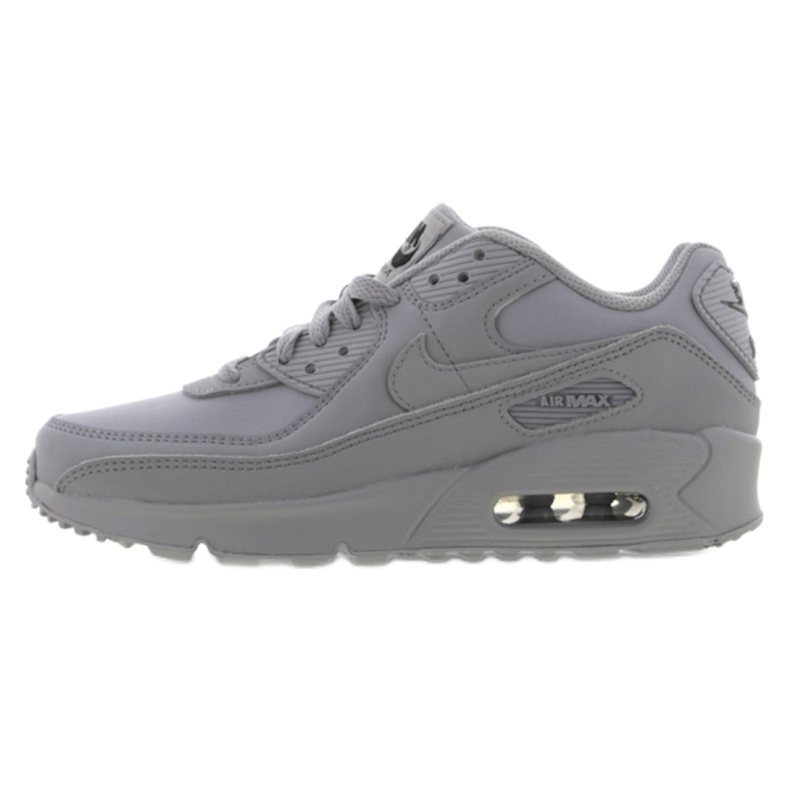 Pantofi Nike Air Max 90 Ltr Jr CD6864-006 gri