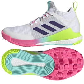 Pantofi de volei adidas CrazyFlight Mid W HP3337 alb alb 1