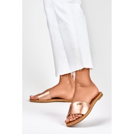 Papuci plati clasici de dama Denly de aur 2